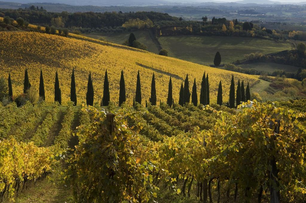 Agriturismo Campo Lungo San Donato in Poggio Værelse billede